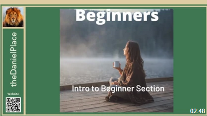 Introduction to the Beginner's Section